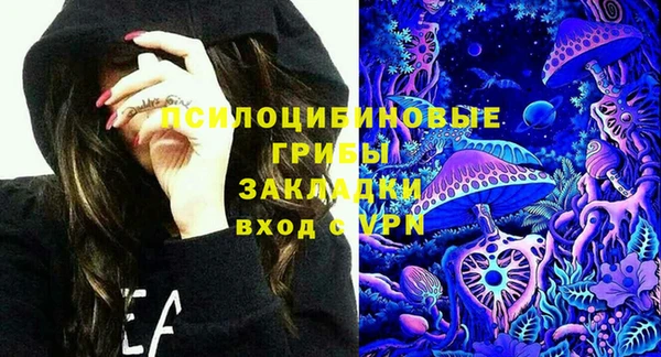 ГАЛЛЮЦИНОГЕННЫЕ ГРИБЫ Балабаново